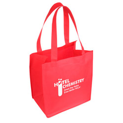 Sunbeam Non-Woven Shopping Bag 8