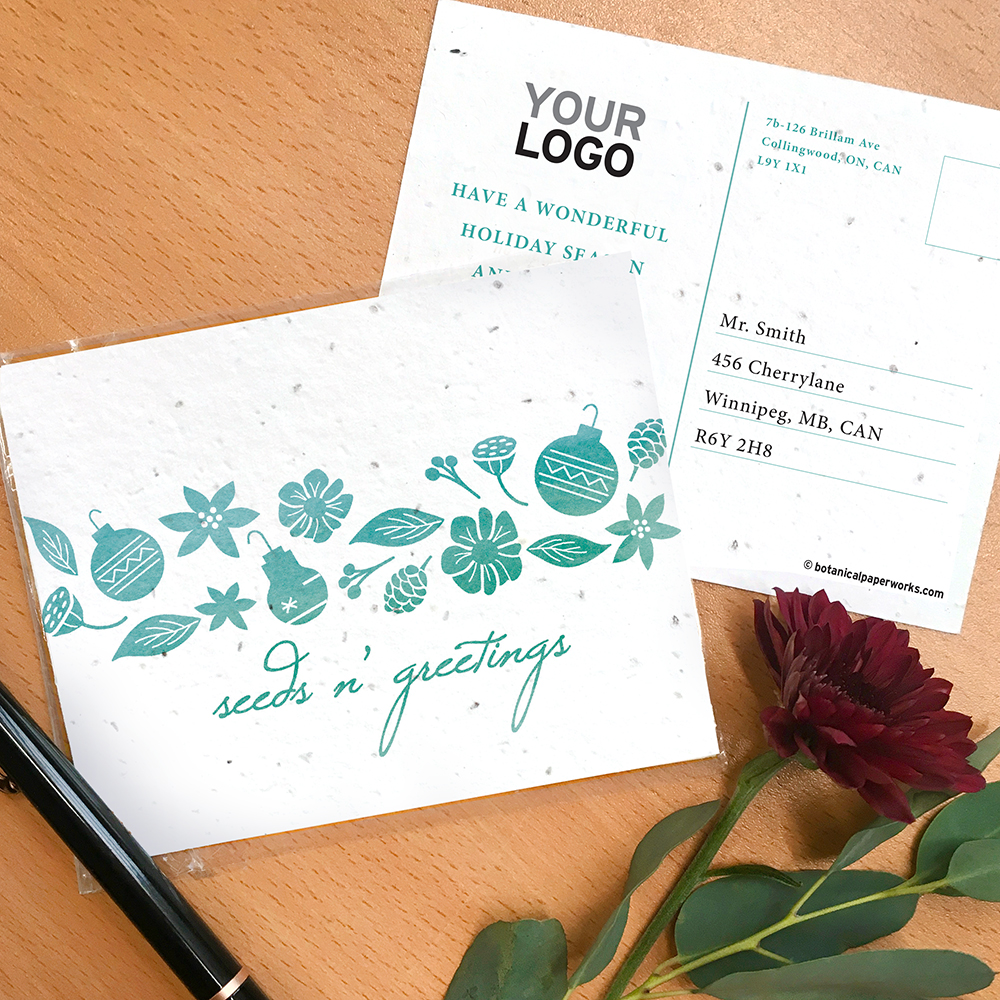 Seeds n' Greetings Plantable Holiday Postcards 1