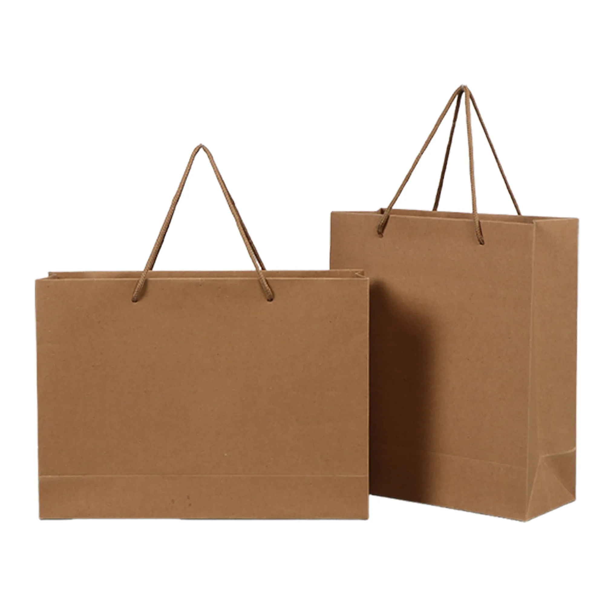 11 Inch Premium Paper Bag for Shopping or Gifts 3