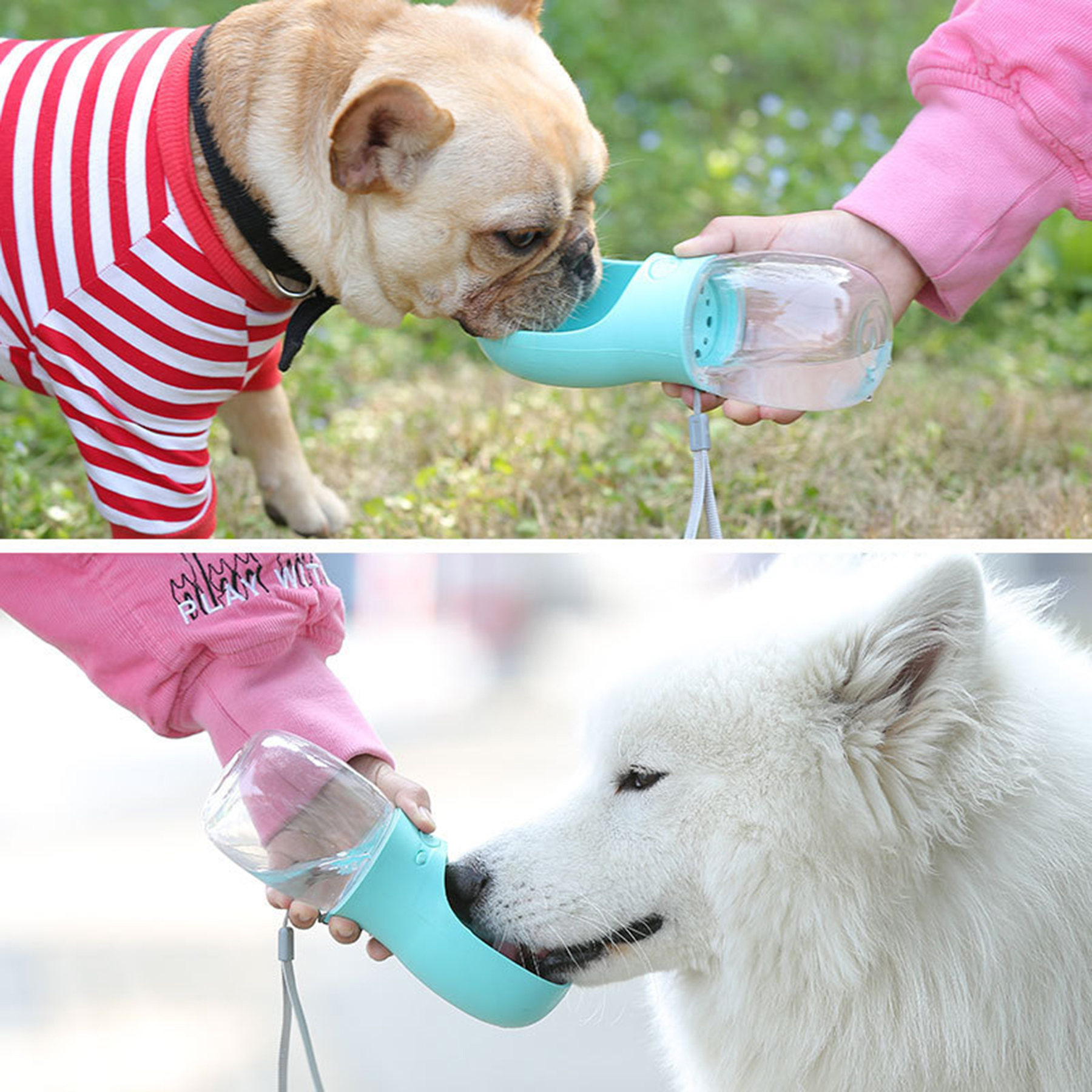 Outdoor Protable Pet Water Bottle 2