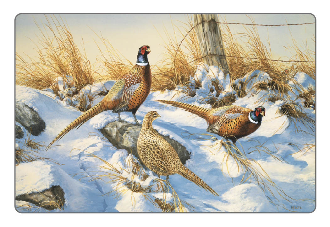 Triumph® Calendars Wildlife Art Pocket Calendar 35