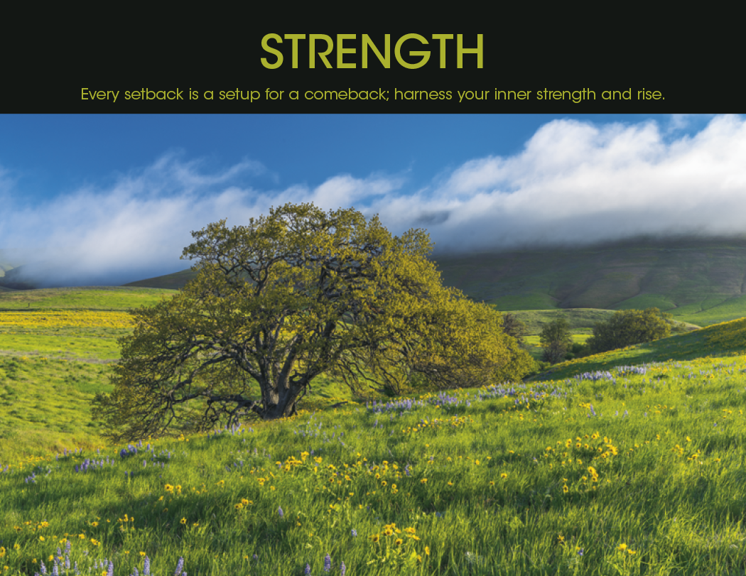 Good Value™ Motivations - Spiral Calendar 24