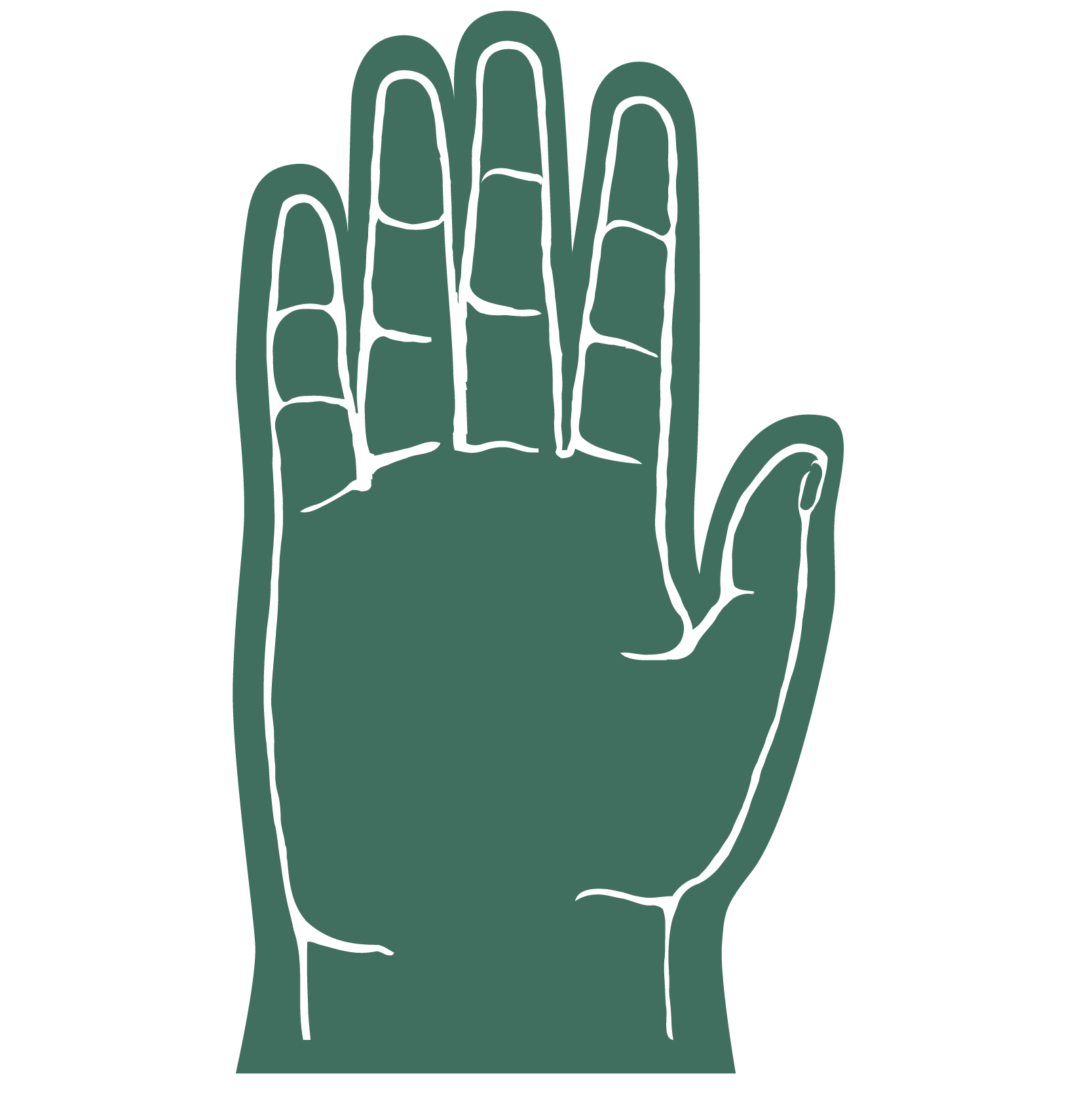 5 Finger Foam hand 22