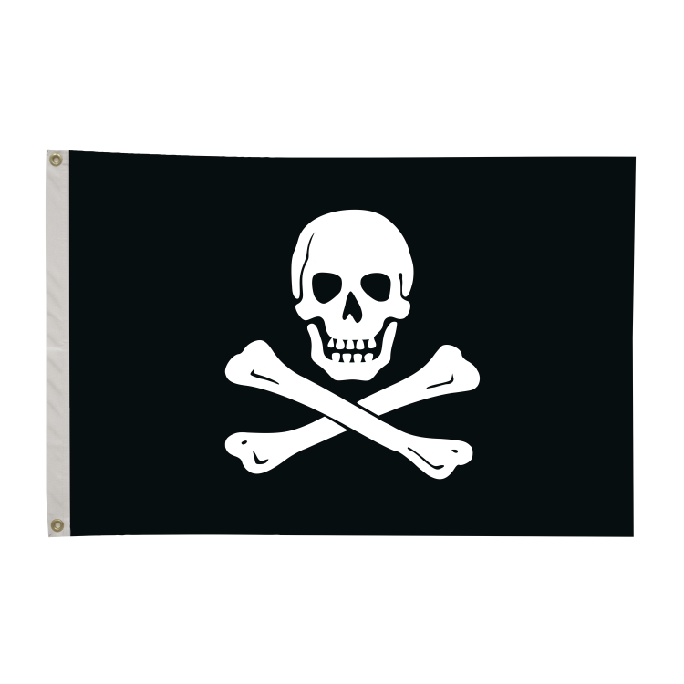 2' x 3' Historical Flags 16