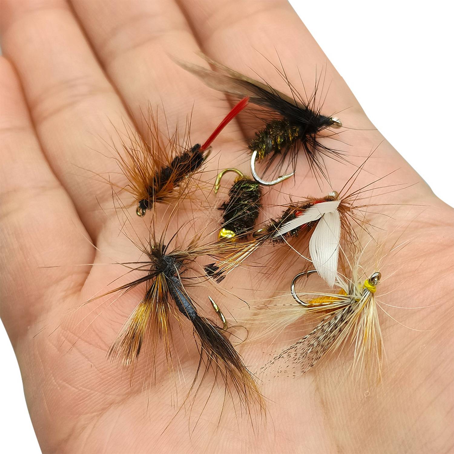 Six Fly-Fishing Flies in Kit 5