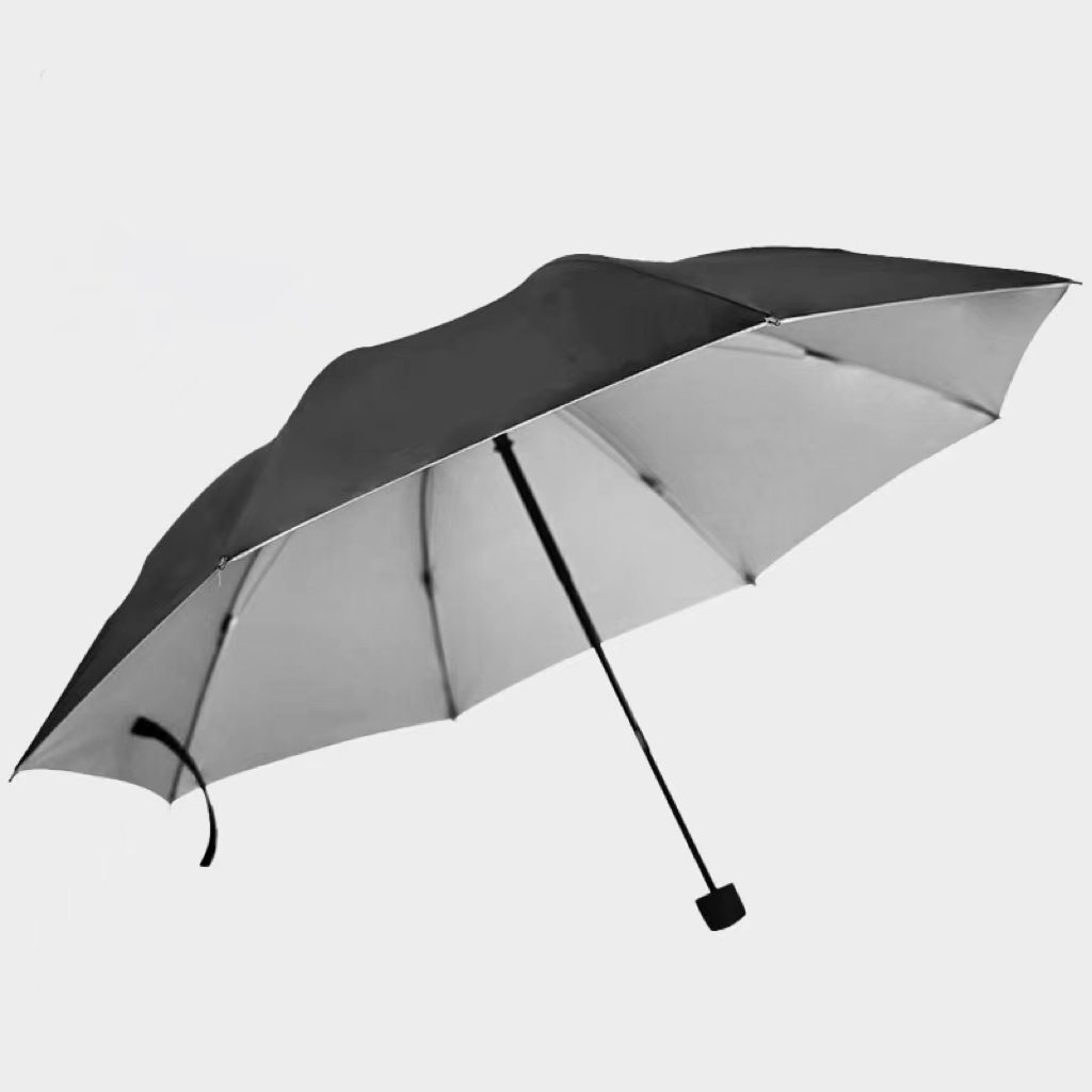 Folding Umbrella 1