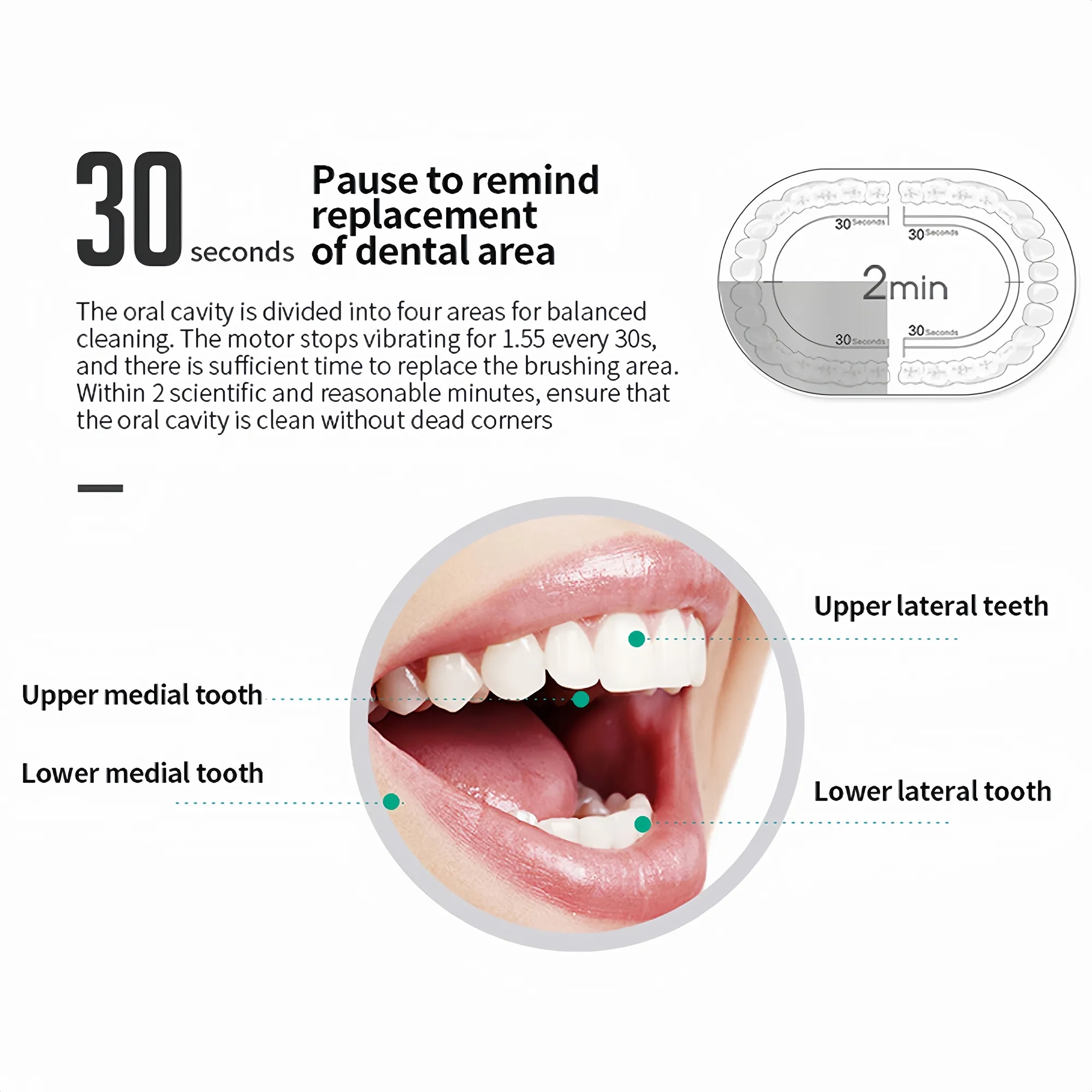 Rechargeable Electric Toothbrush With Replacement Brush Head 5