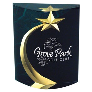 Shooting Star Marblelized Award 1