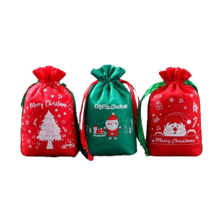 Christmas Gift Bag 13