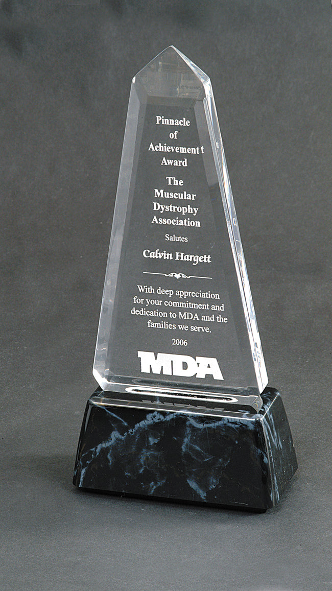 Acrylic Award 6