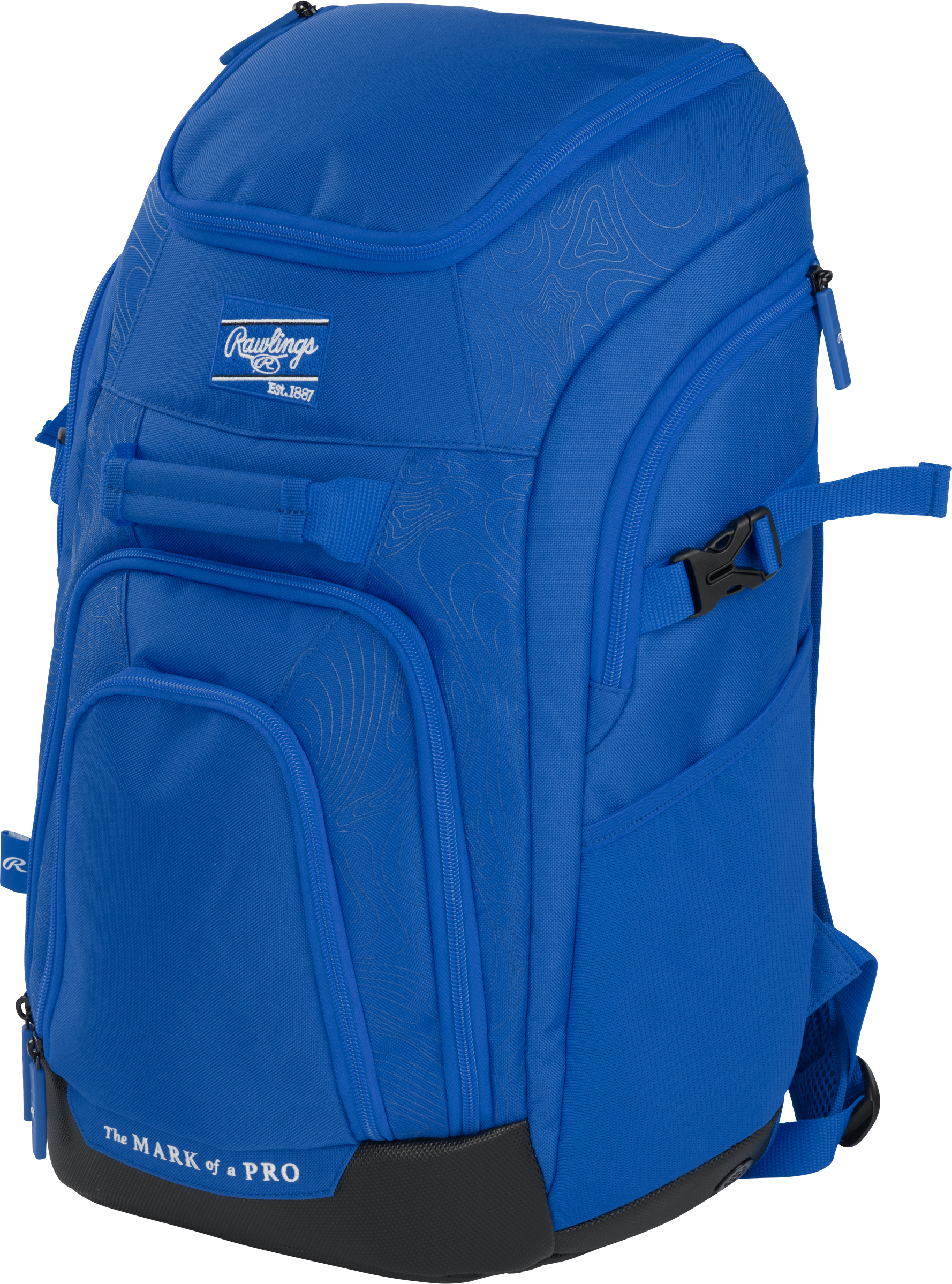 Rawlings Franchise 2 Bag 10