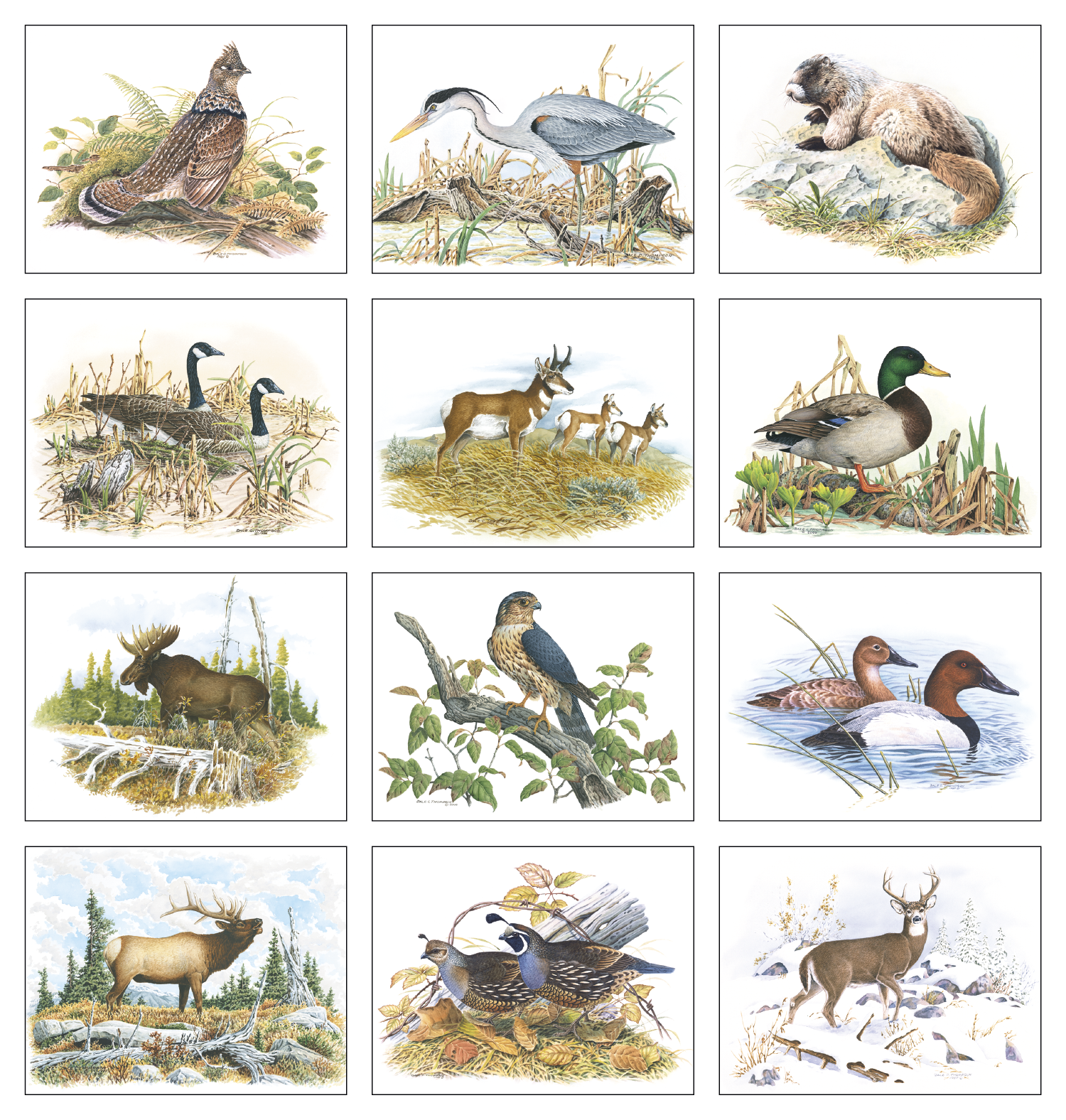 Good Value™ Wildlife Trek - Stapled Calendar 53