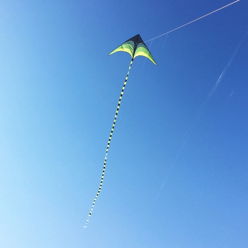 Grand Delta Dancer Kite 2