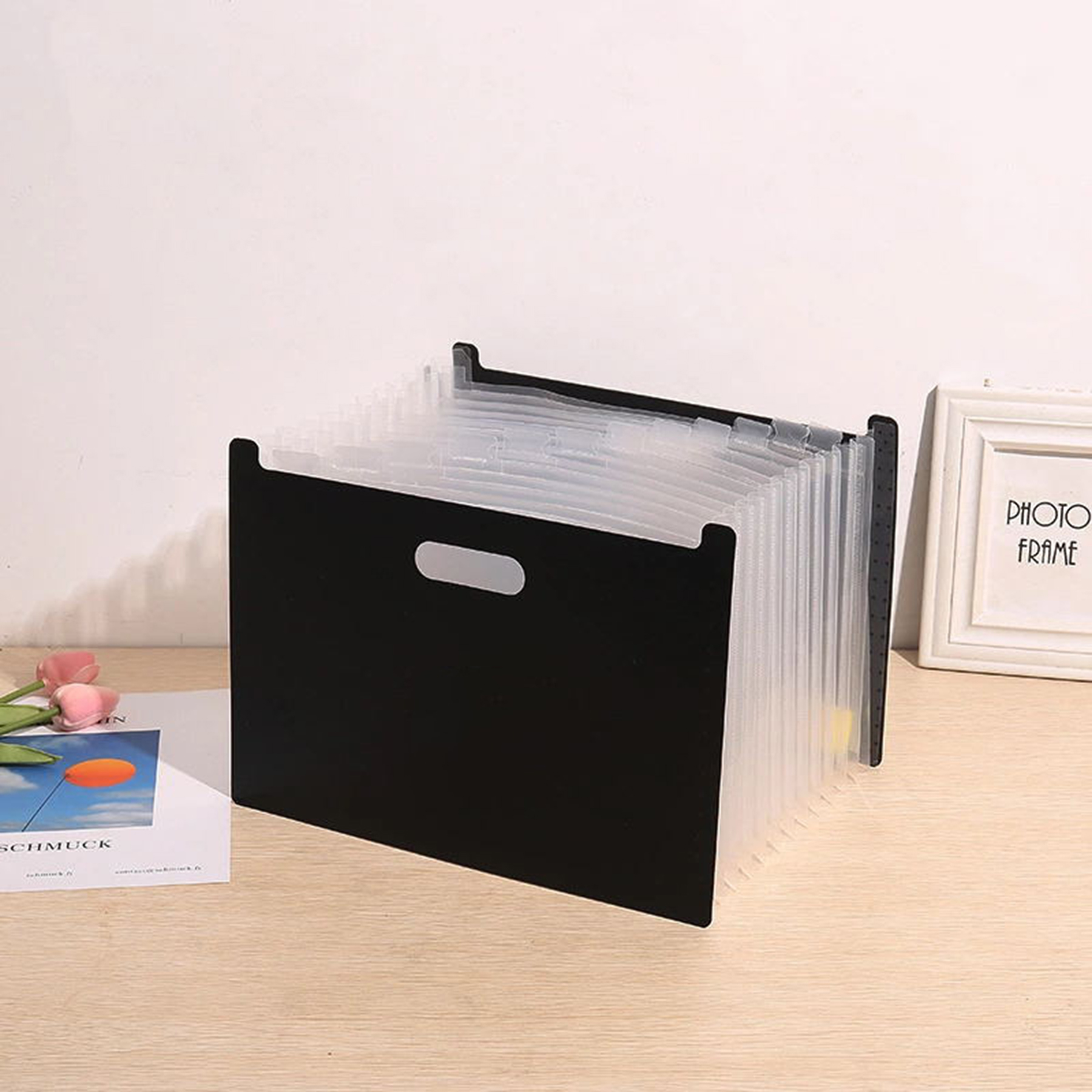 Expanding Accordian File Organizer 2