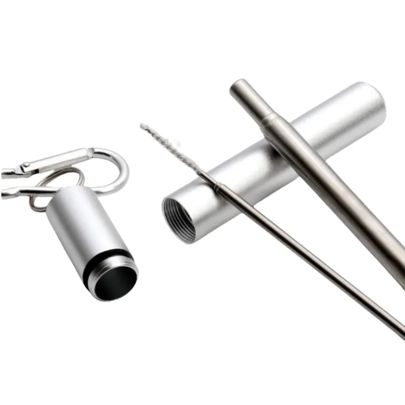 Stainless Steel Straw Set 6