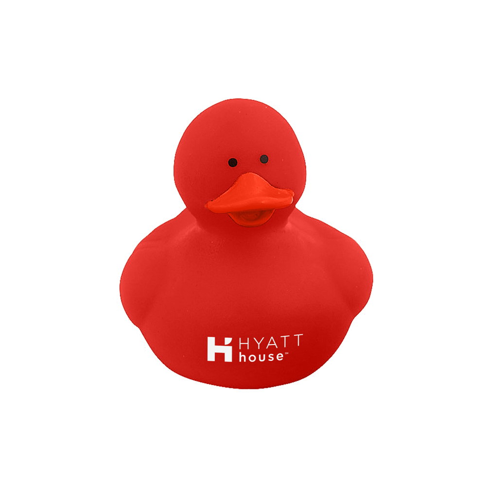 Colorful Duck 8